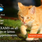 companion_puppyvaccine